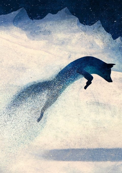 El zorro azul