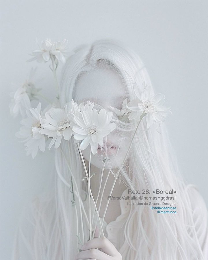 Boreal