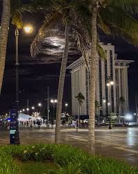 La luna es de Veracruz y me acompaña (Sonia Tejera)
